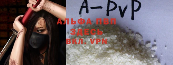 стаф Аркадак