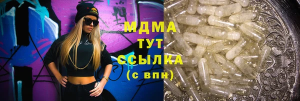 стаф Аркадак