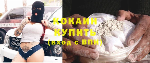 стаф Аркадак