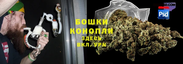 стаф Аркадак