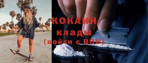 стаф Аркадак